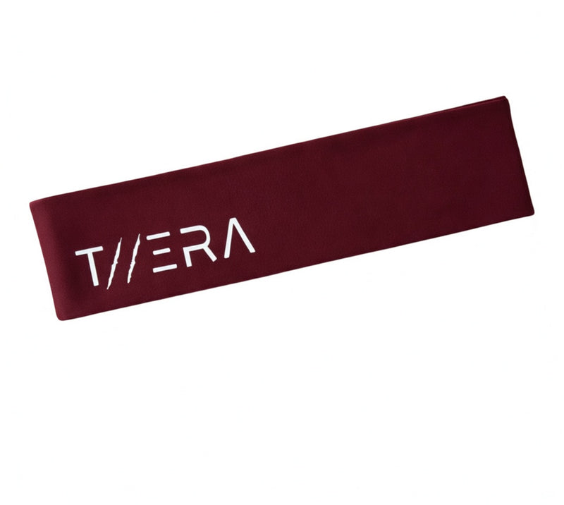 FASCIA ELASTICA