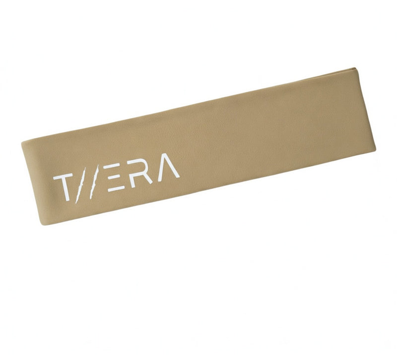 FASCIA ELASTICA