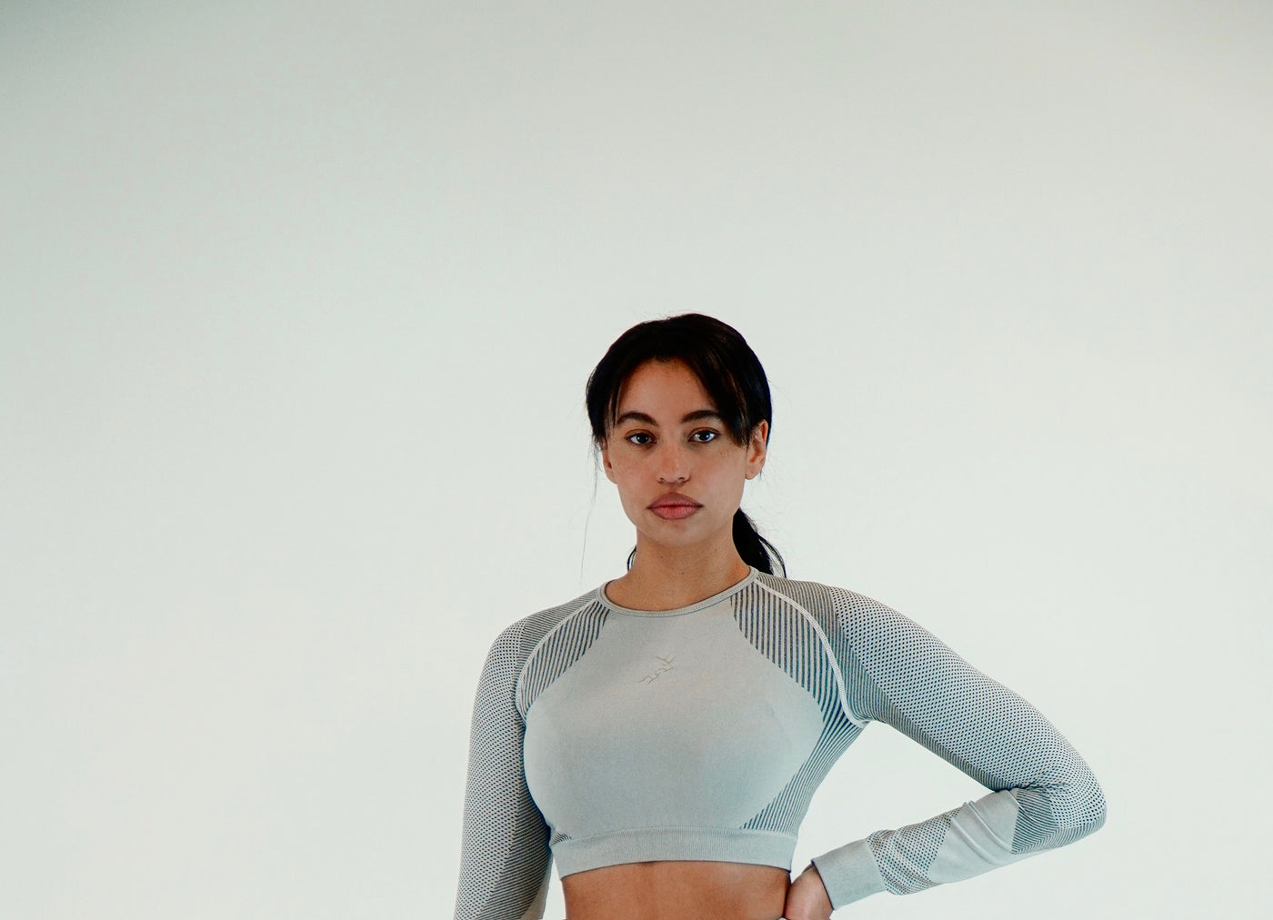 Pro Seamless Crop Top Long Sleeve